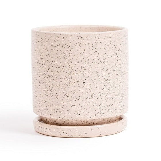 Cylinder Planter Pot with Saucer in White Sesame | 4.5 in