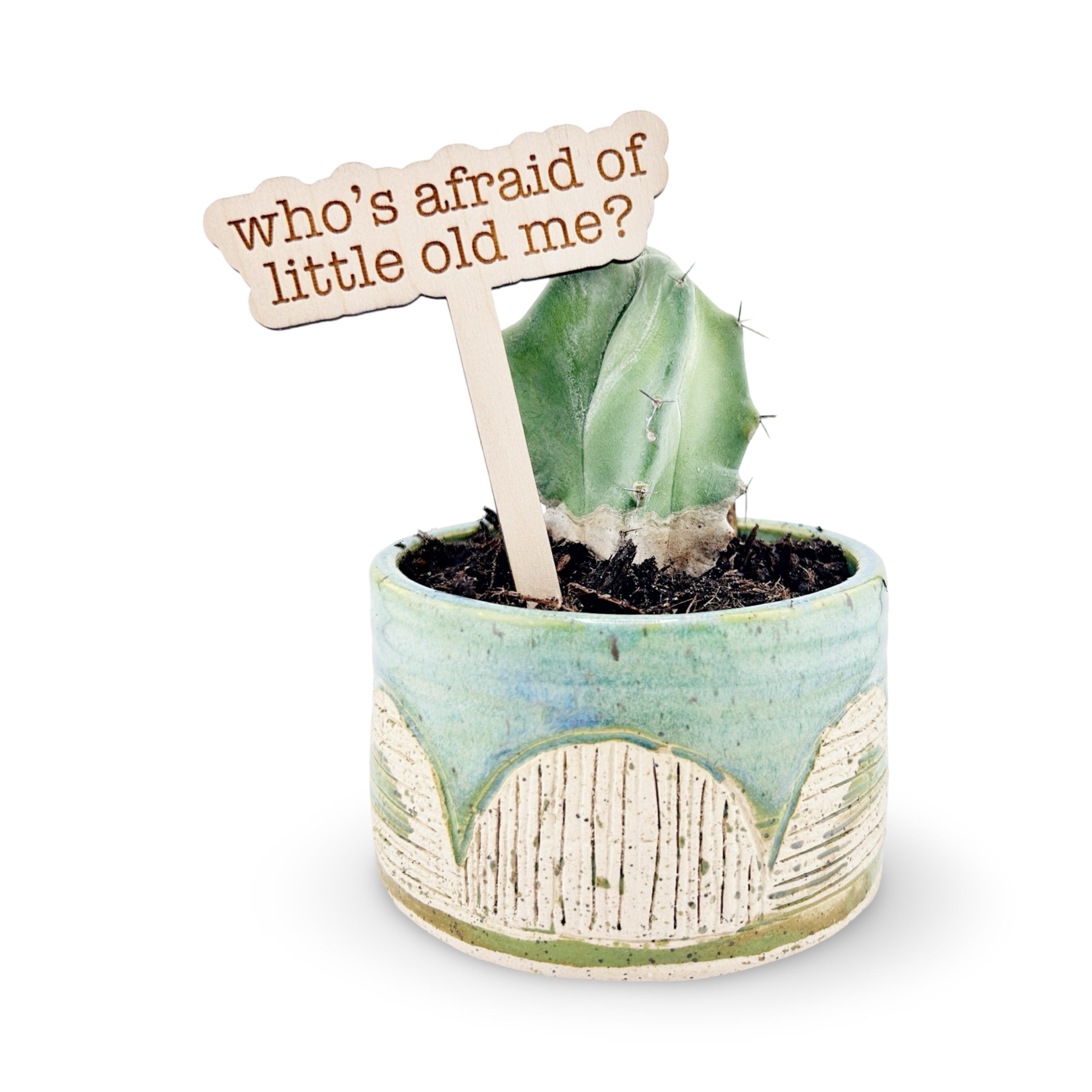 Who's Afraid Of Little Old Me? Funny Plant Stake