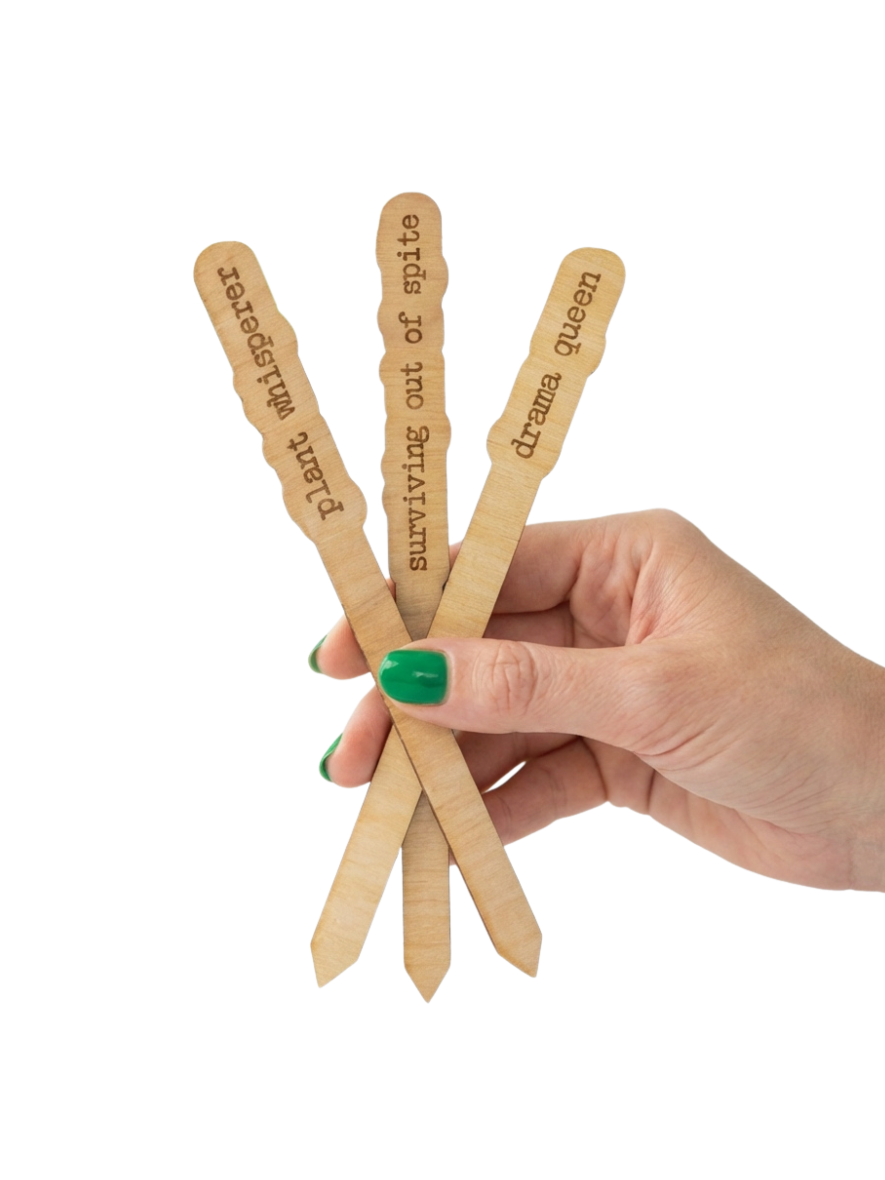 Wood Plant Stakes with Personality