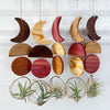 Modern Moon Wood Airplant Holder