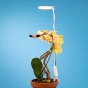 Adjustable LED Plant Light by Mossify