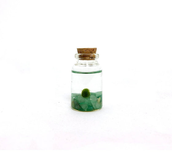 Green Aventurine Moss Nino Pet Plant