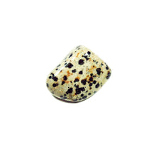  Dalmatian Jasper Tumbled Stone