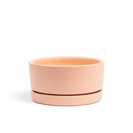 Low-Bowl Planter with Saucer in Blush | 6.25 in - Salt Your Soul Gift Co