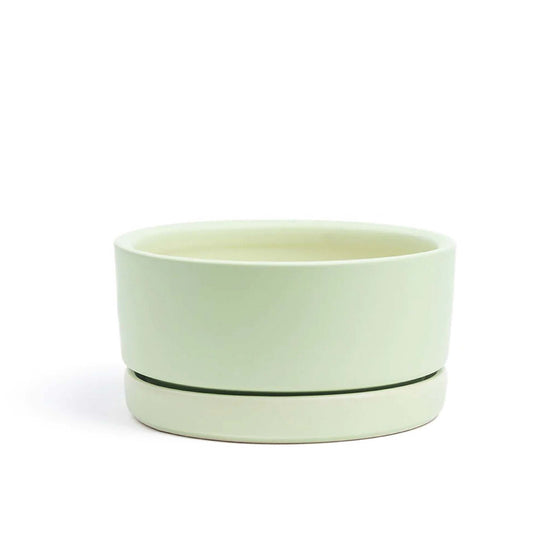 Low-Bowl Planter with Saucer in Sage | 4.5 in - Salt Your Soul Gift Co