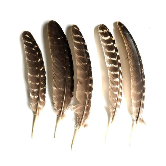 Naturally Molten Turkey Feather for Smudging - Salt Your Soul Gift Co