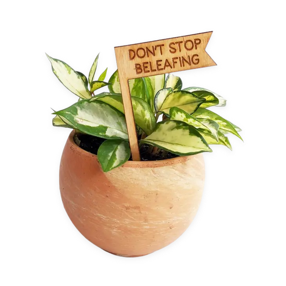Plant Stake Don't Stop Beleafing
