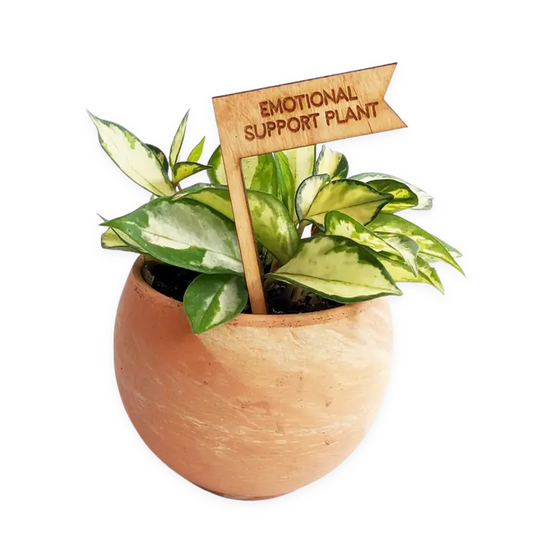 Plant Stake Emotional Support Plant