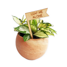  Plant Stake Leaf Me Alone