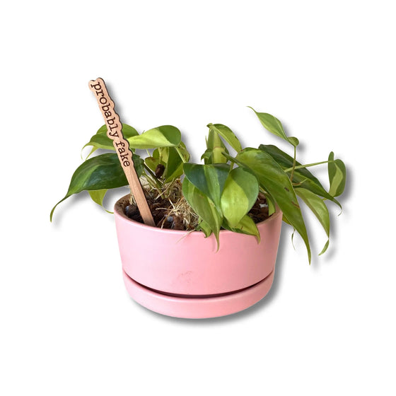 Punny Plant Marker | Probably Fake - Salt Your Soul Gift Co