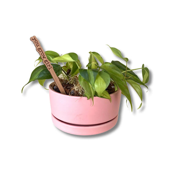 Punny Plant Marker | You Grow Girl - Salt Your Soul Gift Co