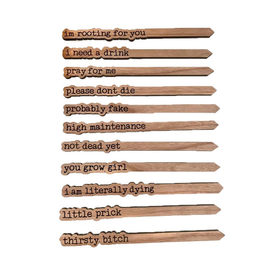 Punny Plant Markers | Pray For Me - Salt Your Soul Gift Co