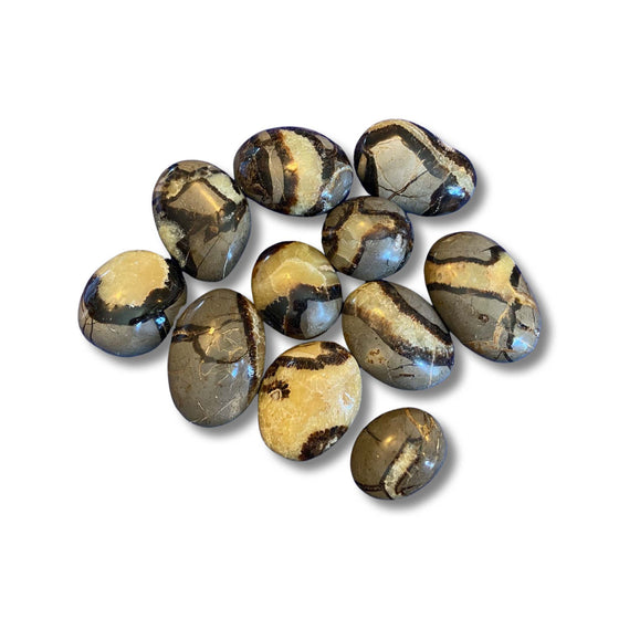 Septarian Palm Stone Crystal - Salt Your Soul Gift Co