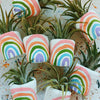 The St. Pete Rainbow Mini Planter and Air Plant