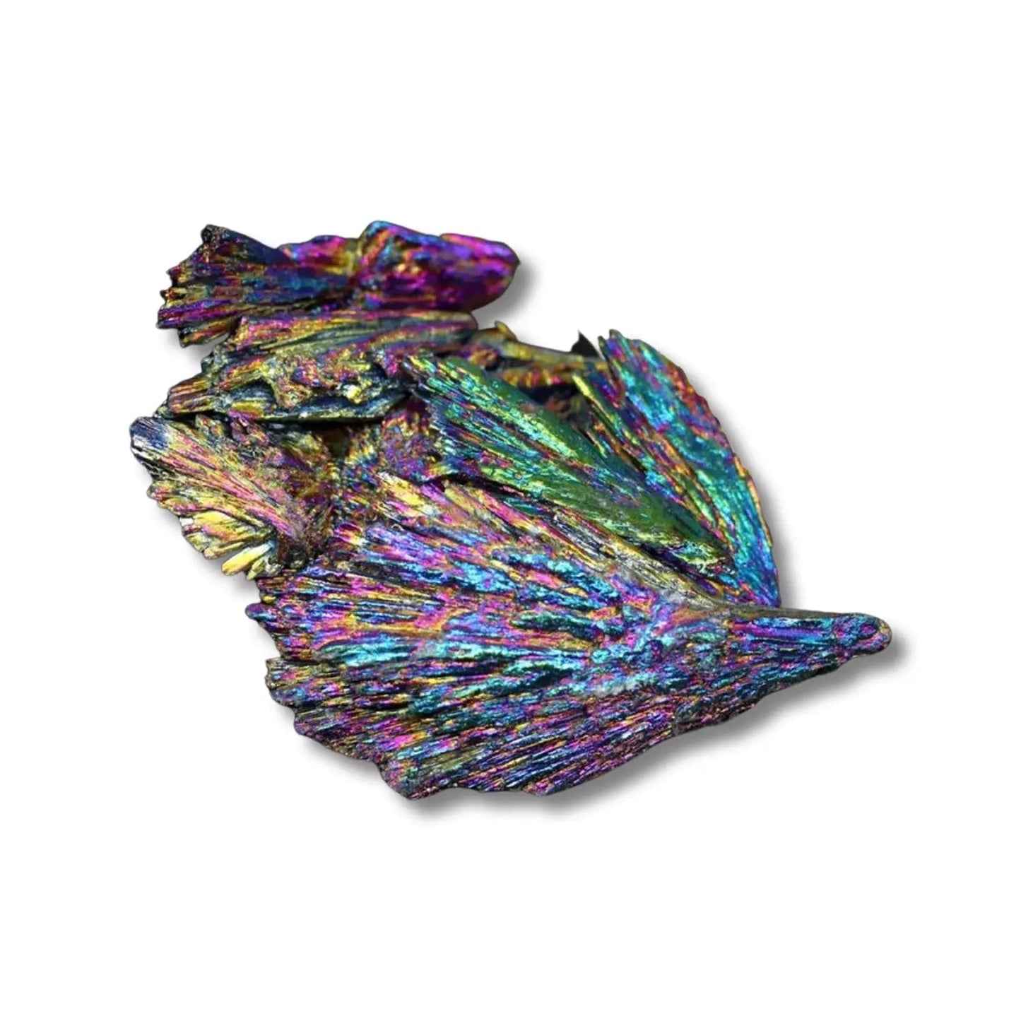 Titanium Aura Black Kyanite Fan - Salt Your Soul Gift Co