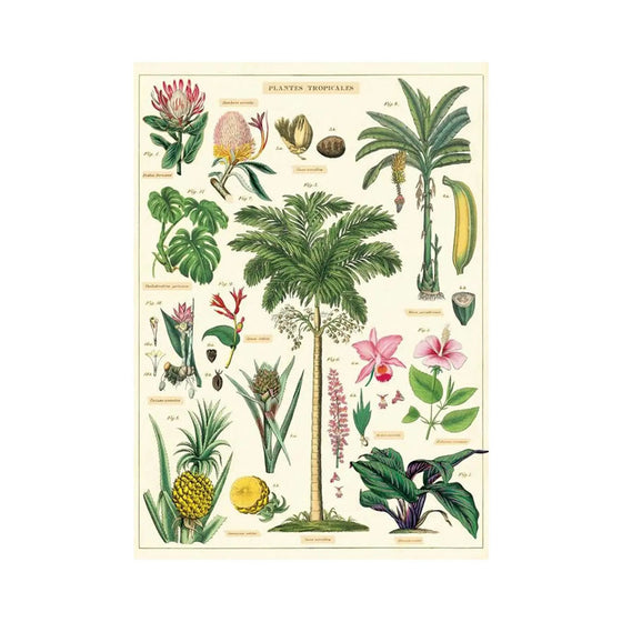 Tropical Plants Vintage Poster - Salt Your Soul Gift Co