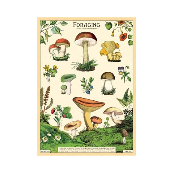 Foraging for Mushrooms Vintage Poster