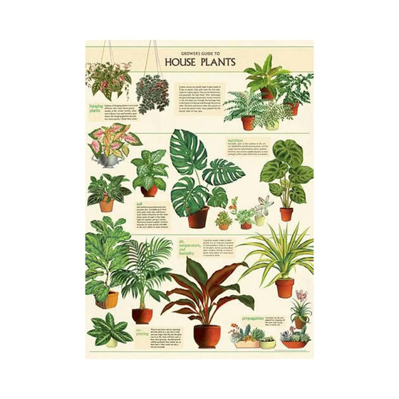 House Plants Vintage Poster