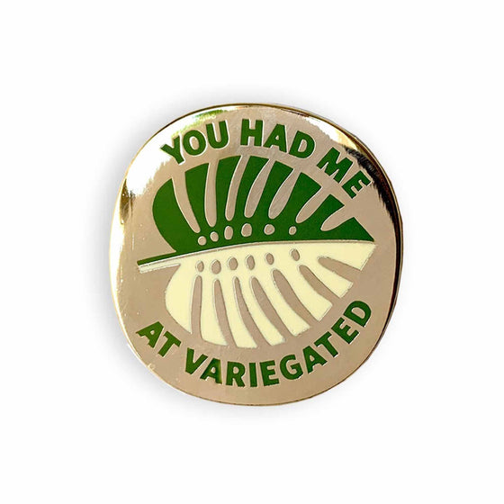 You Had Me At Variegated Enamel Pin - Salt Your Soul Gift Co